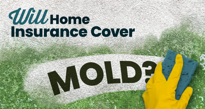 does mobile home insurance cover mold